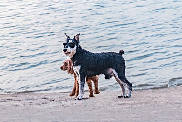 20221114233605_53530