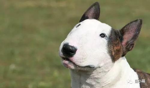 20221115104225_17791 20221115104225_17791