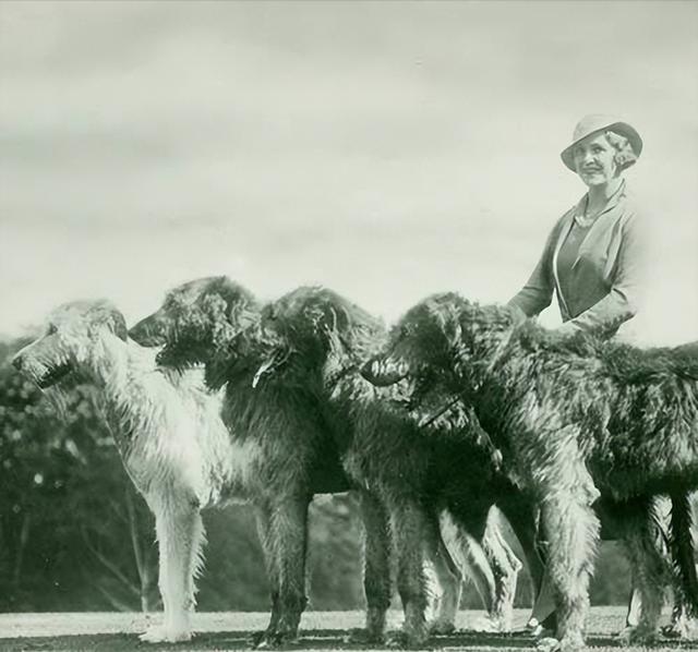 20221115182438_78151 20221115182438_78151