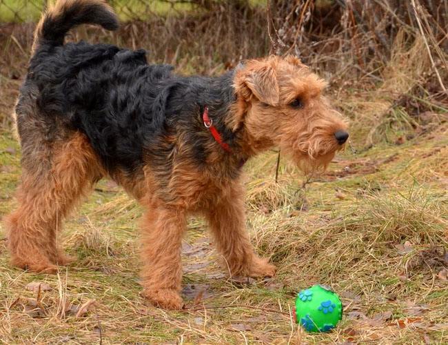 20221116102105_95713