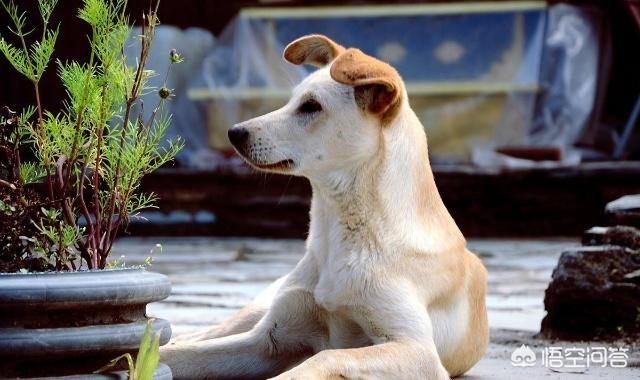 20221116161149_32165