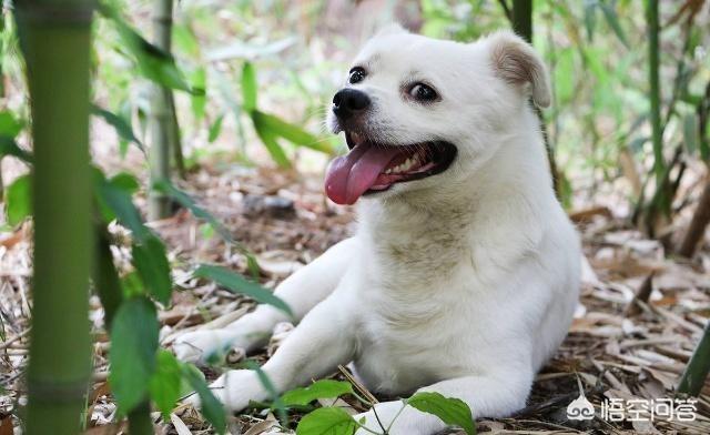 20221116161150_67092