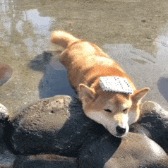 20221116192728_23866