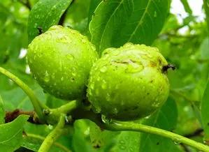 20221117161203_96347 20221117161203_96347