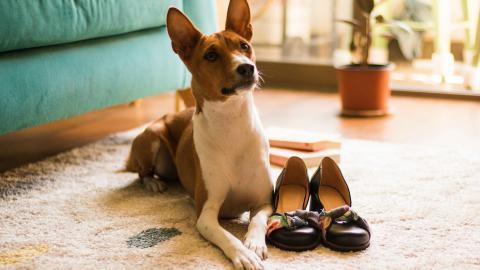 20221117174818_69394 20221117174818_69394