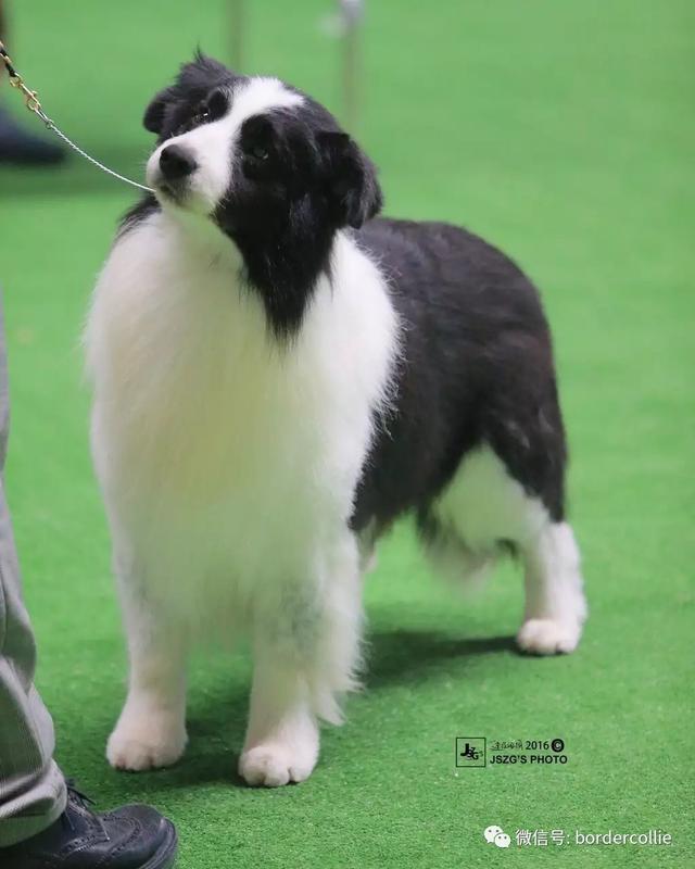 20221118175645_32334 20221118175645_32334