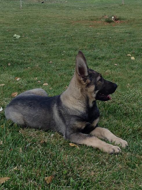 20221119112020_44749