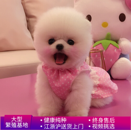 20221119140911_80093 20221119140911_80093