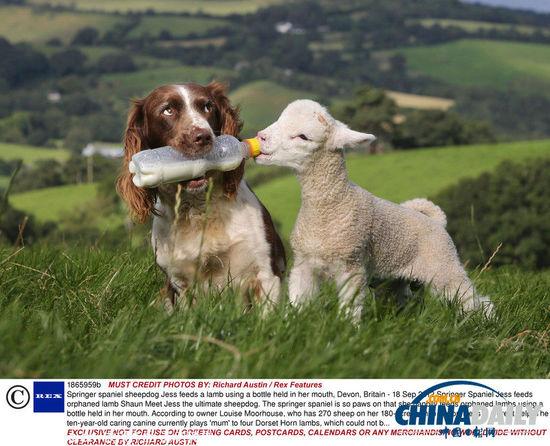 20221120110143_36696