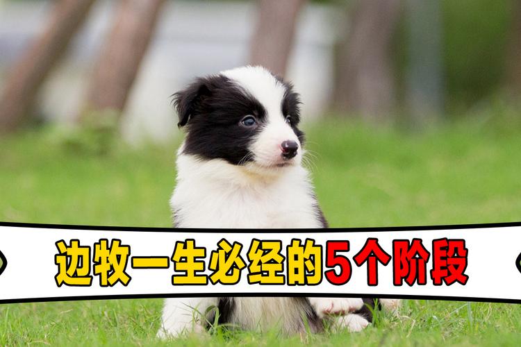 20221120110143_76128