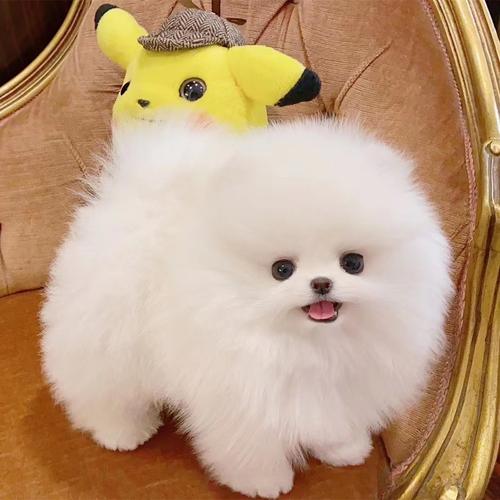 20221120151123_33854