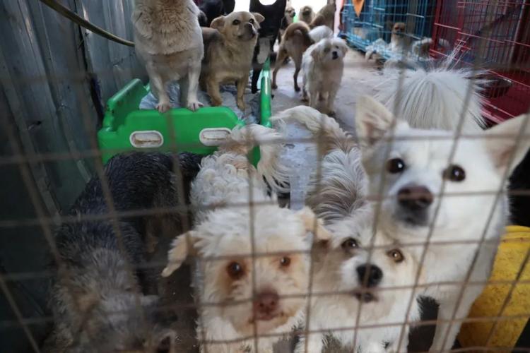 20221121102011_49910