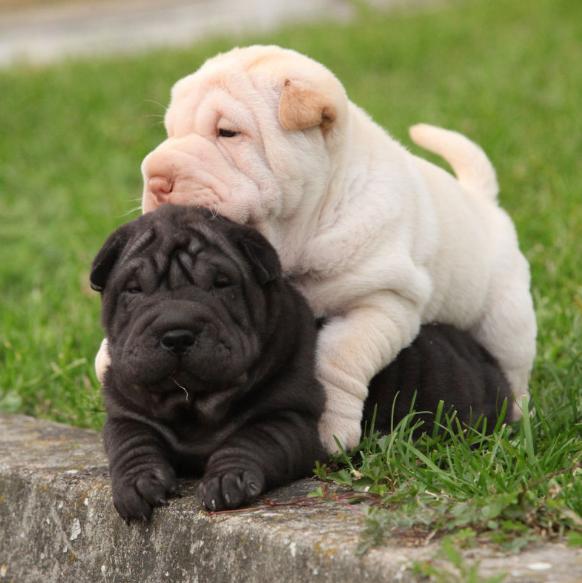 20221121124347_50337