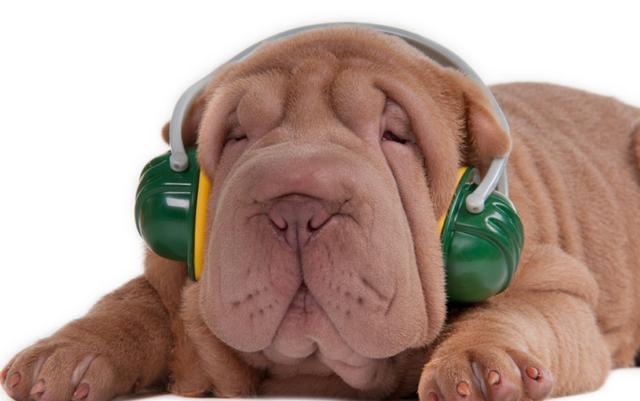 20221121124347_87603