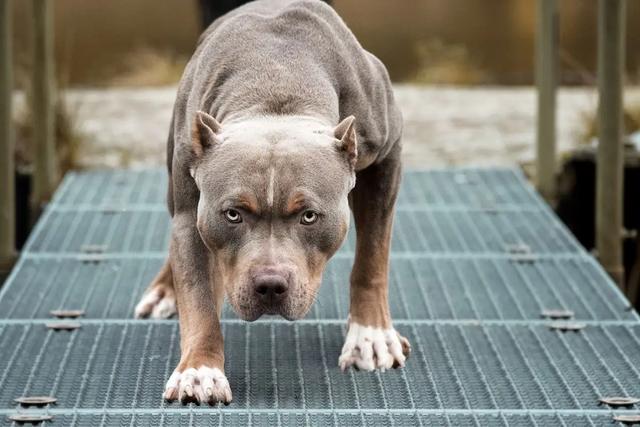 20221121220814_11405