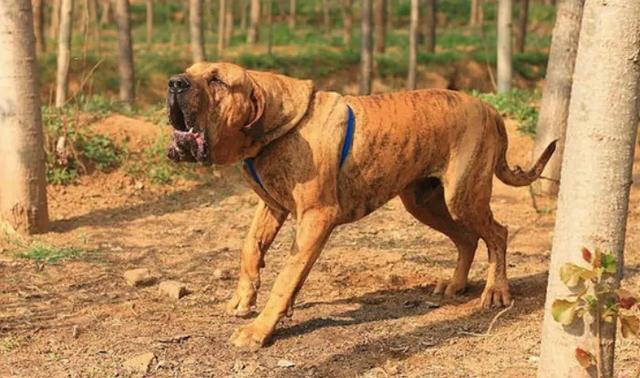 20221121220815_53297 20221121220815_53297