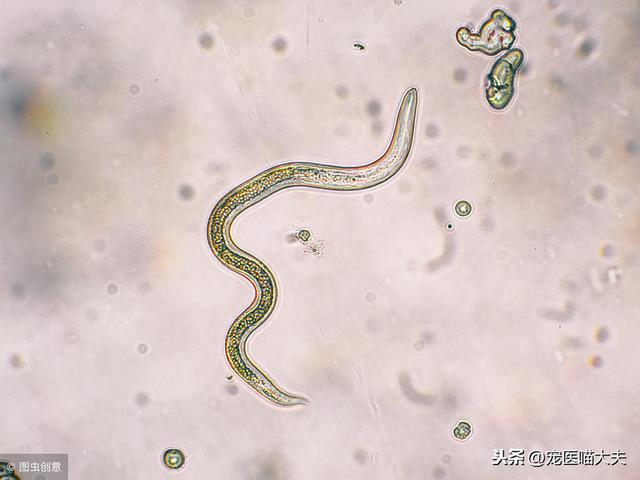 20221123105925_30635