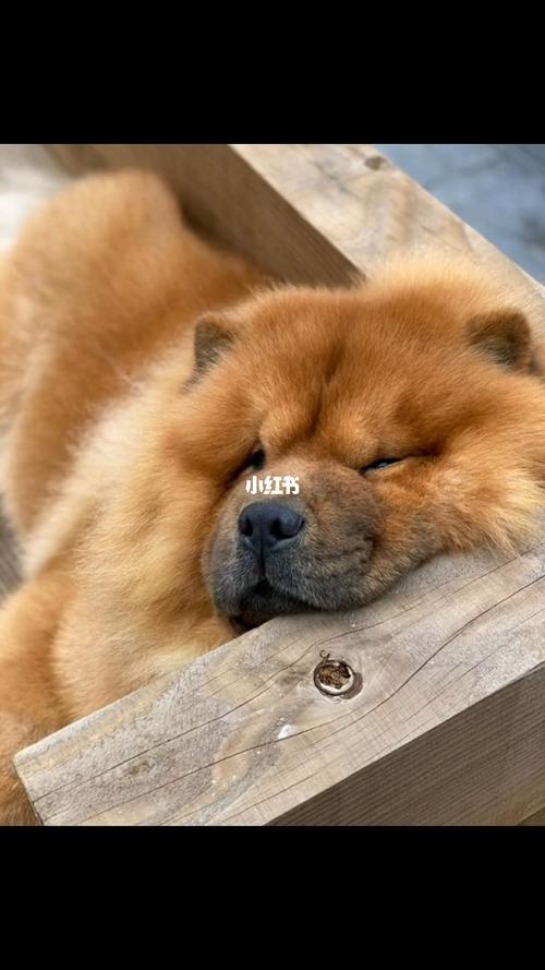 20221123110442_81775 20221123110442_81775