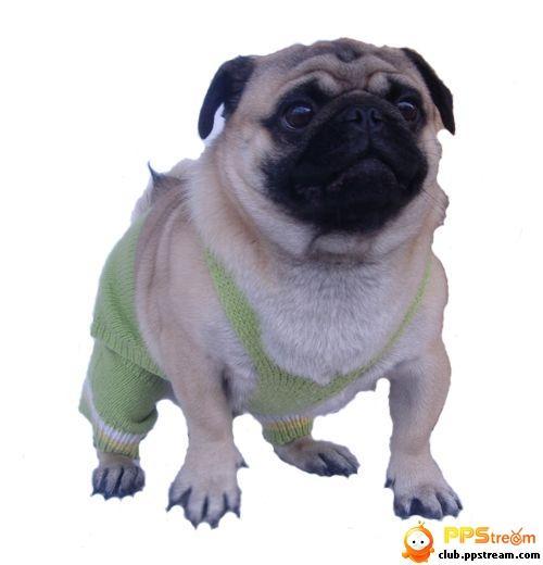 20221125083642_79509 20221125083642_79509