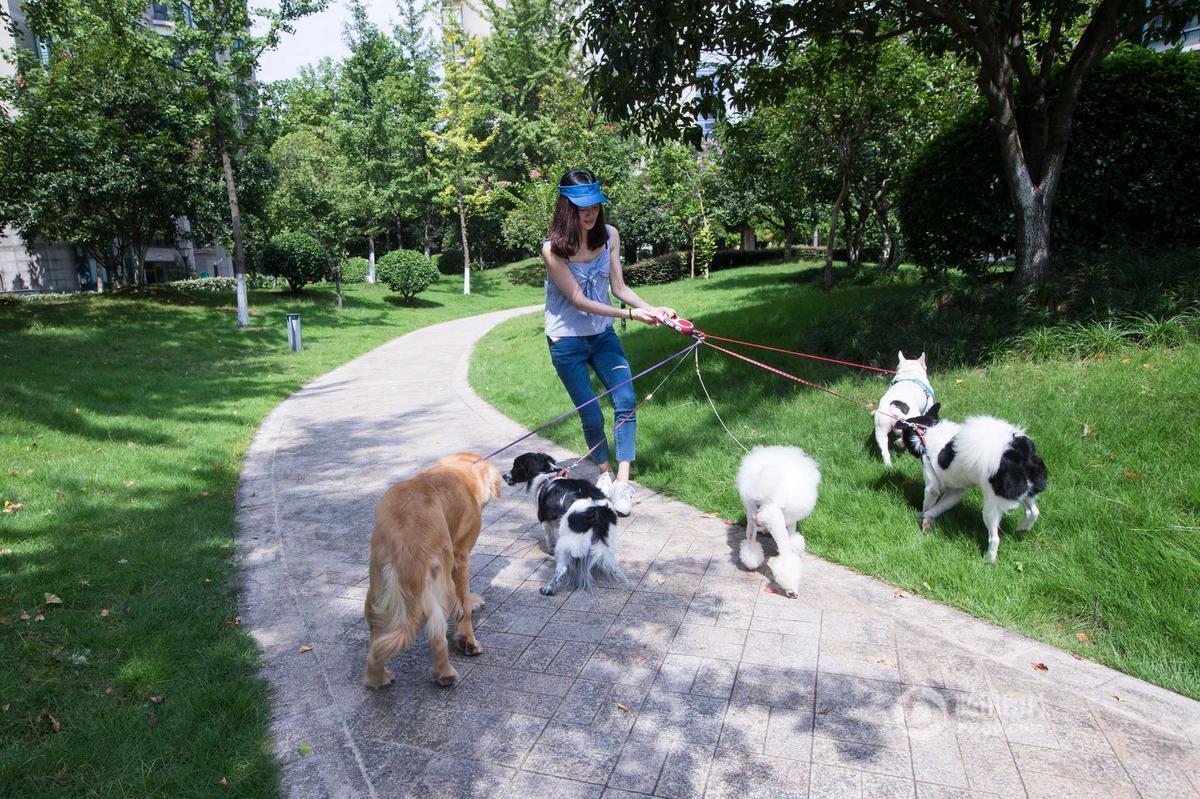 20221204225527_31247