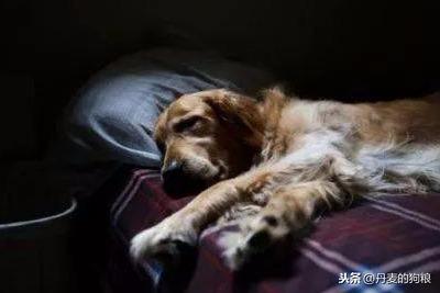 20221205090002_44758