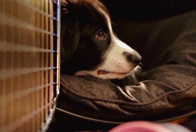 20220421042620165048638014652