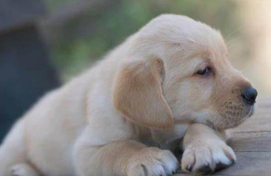 20220421042621165048638117578