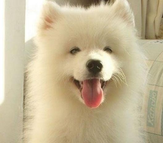 20220421042621165048638145404