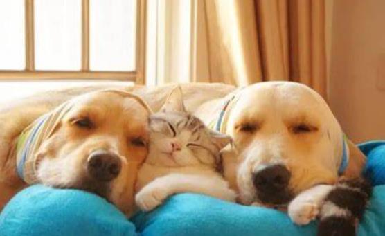 20220421042621165048638158813