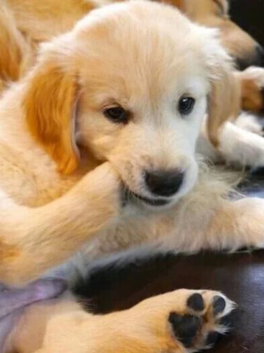 20220421042621165048638182632