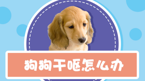 狗狗 有痰(狗狗有痰咳不出来又咽回去)-警犬训练器材厂家 _警犬训练用品_工作犬训练用品-南京开久警犬装备