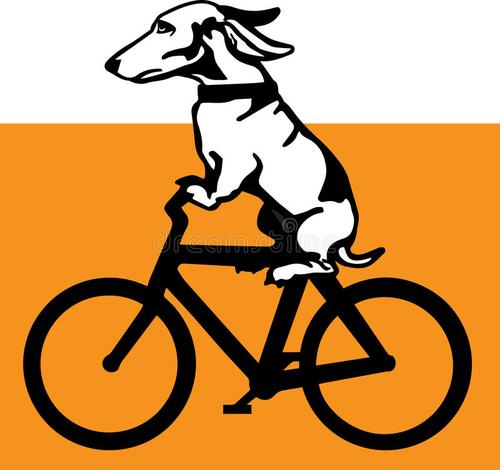 小狗骑车 *** 大全，小狗骑车的 ***-警犬训练器材厂家 _警犬训练用品_工作犬训练用品-南京开久警犬装备