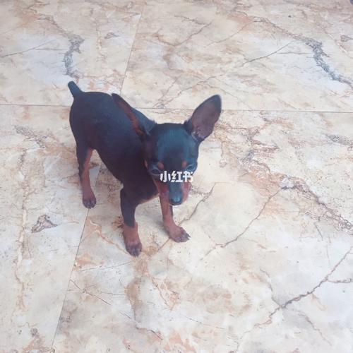 20221106131325_80655 20221106131325_80655