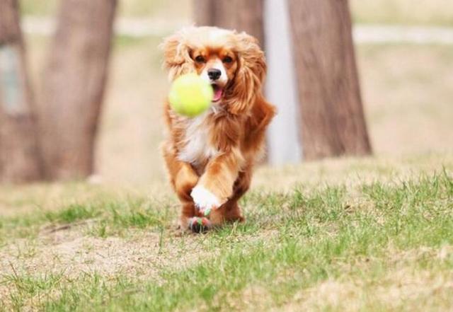 20221106145040_49770