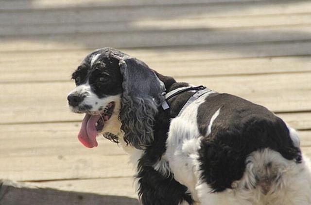 20221106145041_99483