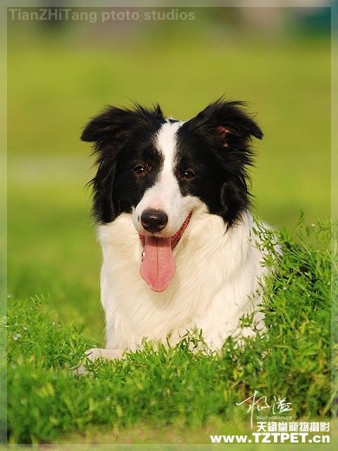 20221106145356_14625