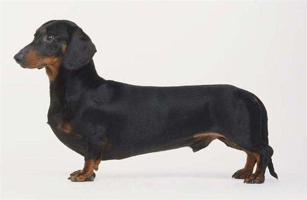 20221106145356_60916