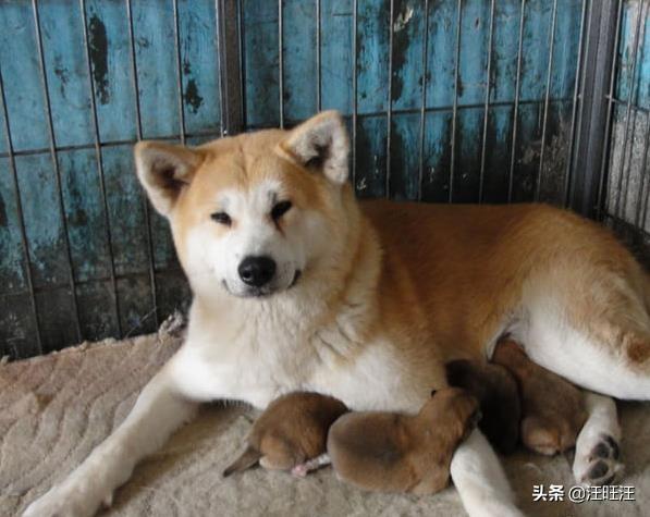 20221106150854_35301 20221106150854_35301