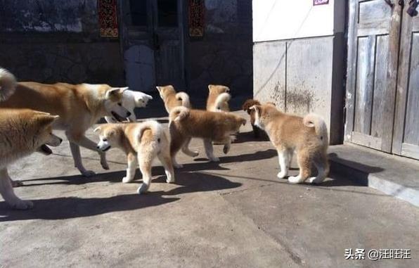 20221106150855_80161 20221106150855_80161