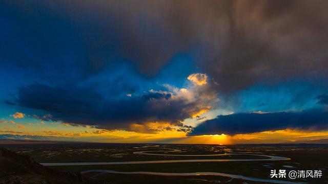辱骂m狗语录(单身狗语录)-警犬训练器材厂家 _警犬训练用品_工作犬训练用品-南京开久警犬装备