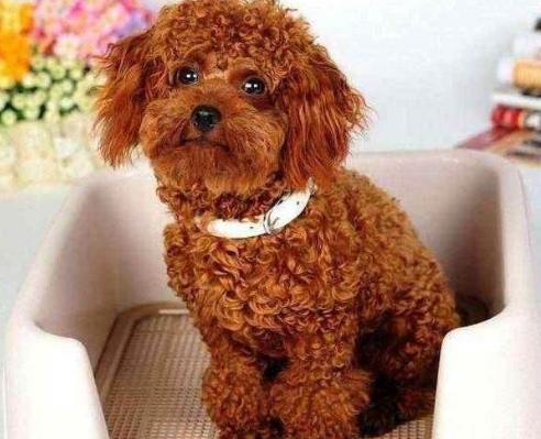 20221106174114_41895 20221106174114_41895