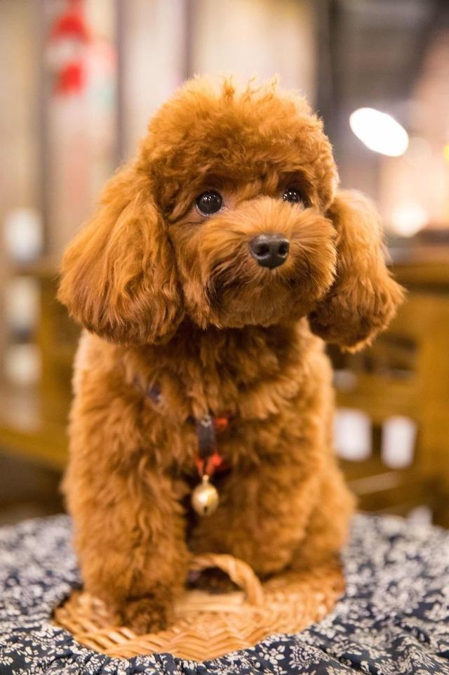 20221106174114_98995