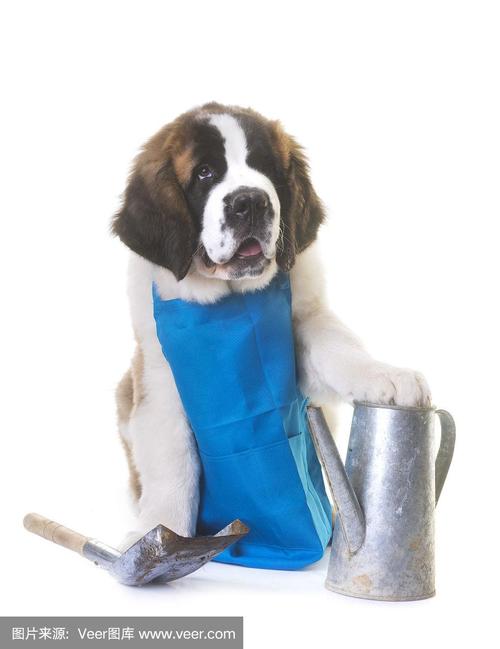 20221106194430_28315