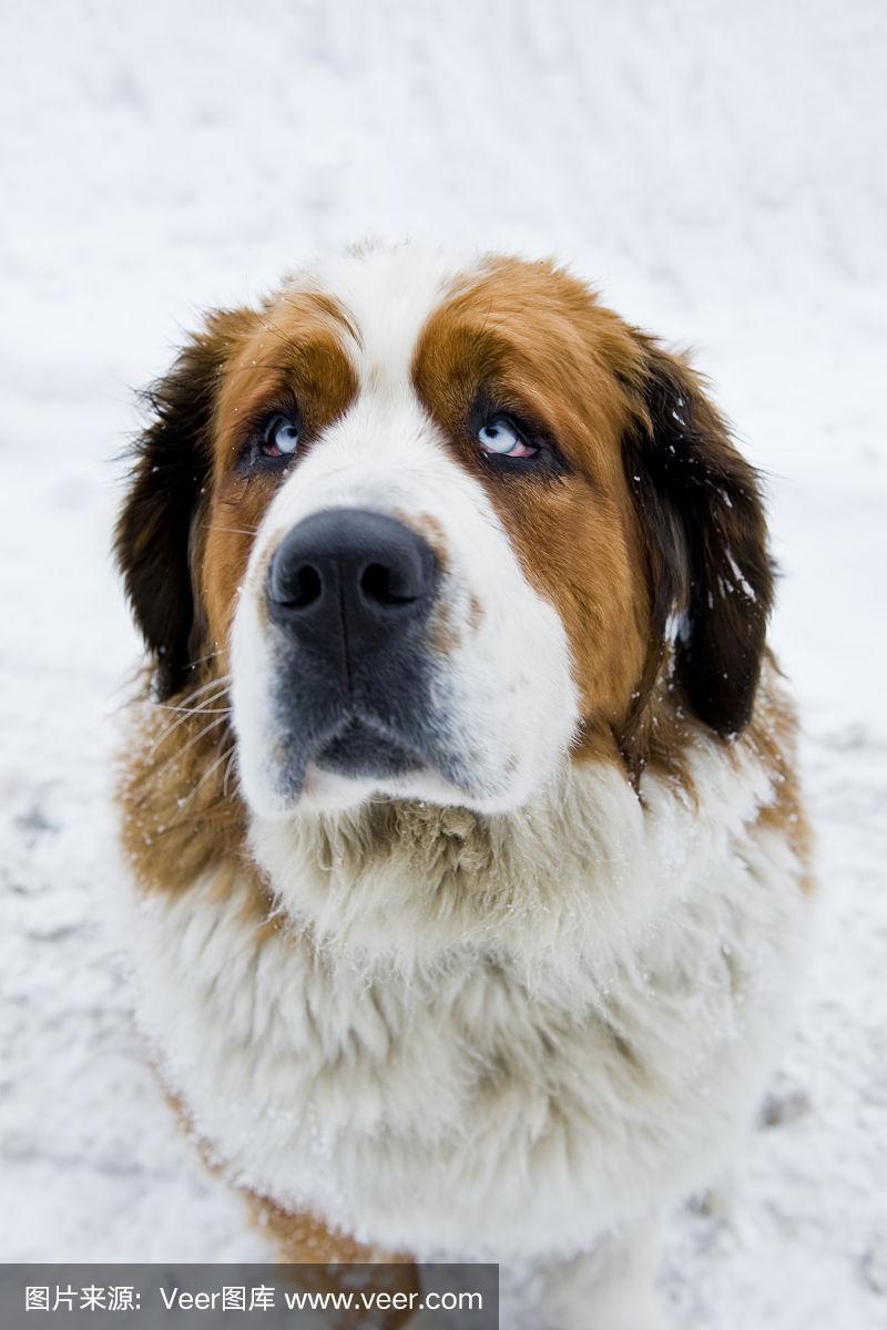 20221106194430_52376