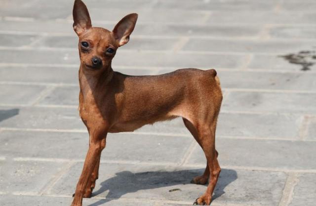 20221106200720_93909