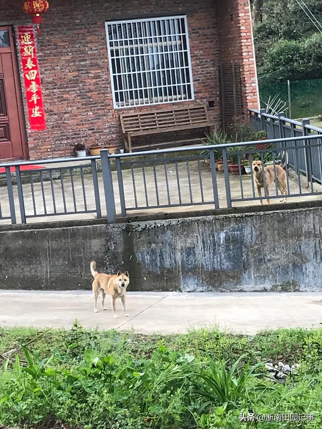 20221106202232_51204