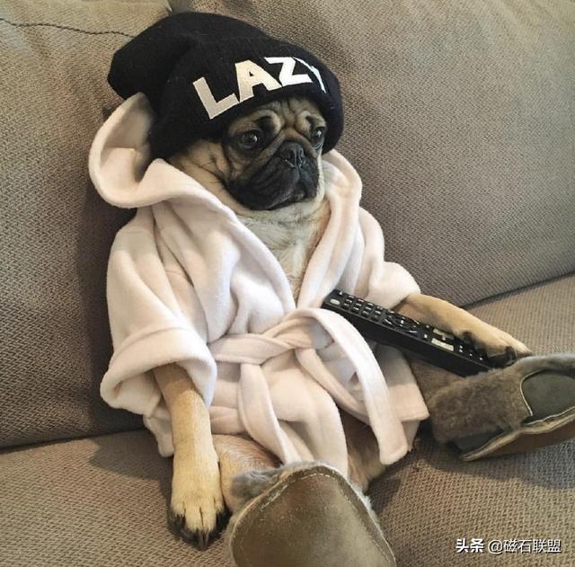 20221106202638_43220