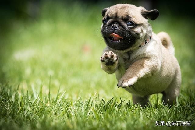 20221106202638_97203