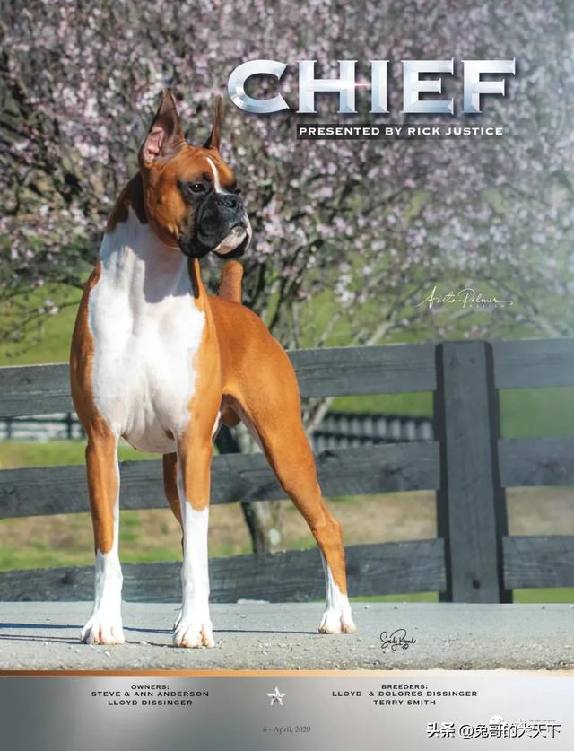 20221107132021_18943 20221107132021_18943