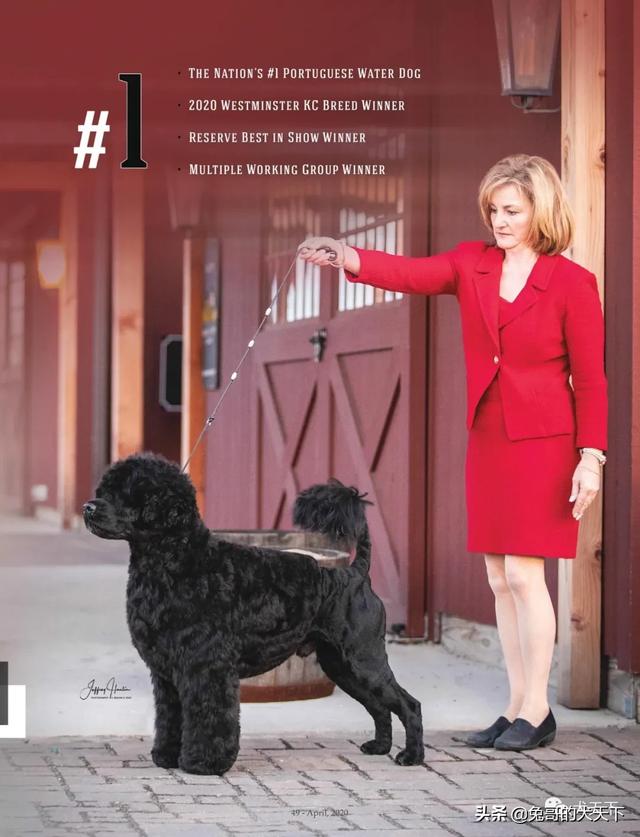 20221107132022_11255 20221107132022_11255